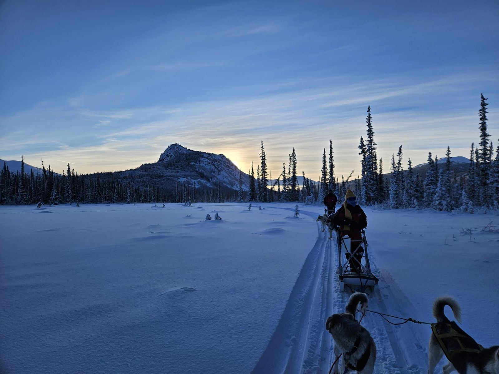 Sled at dawn in front of a snowy peak