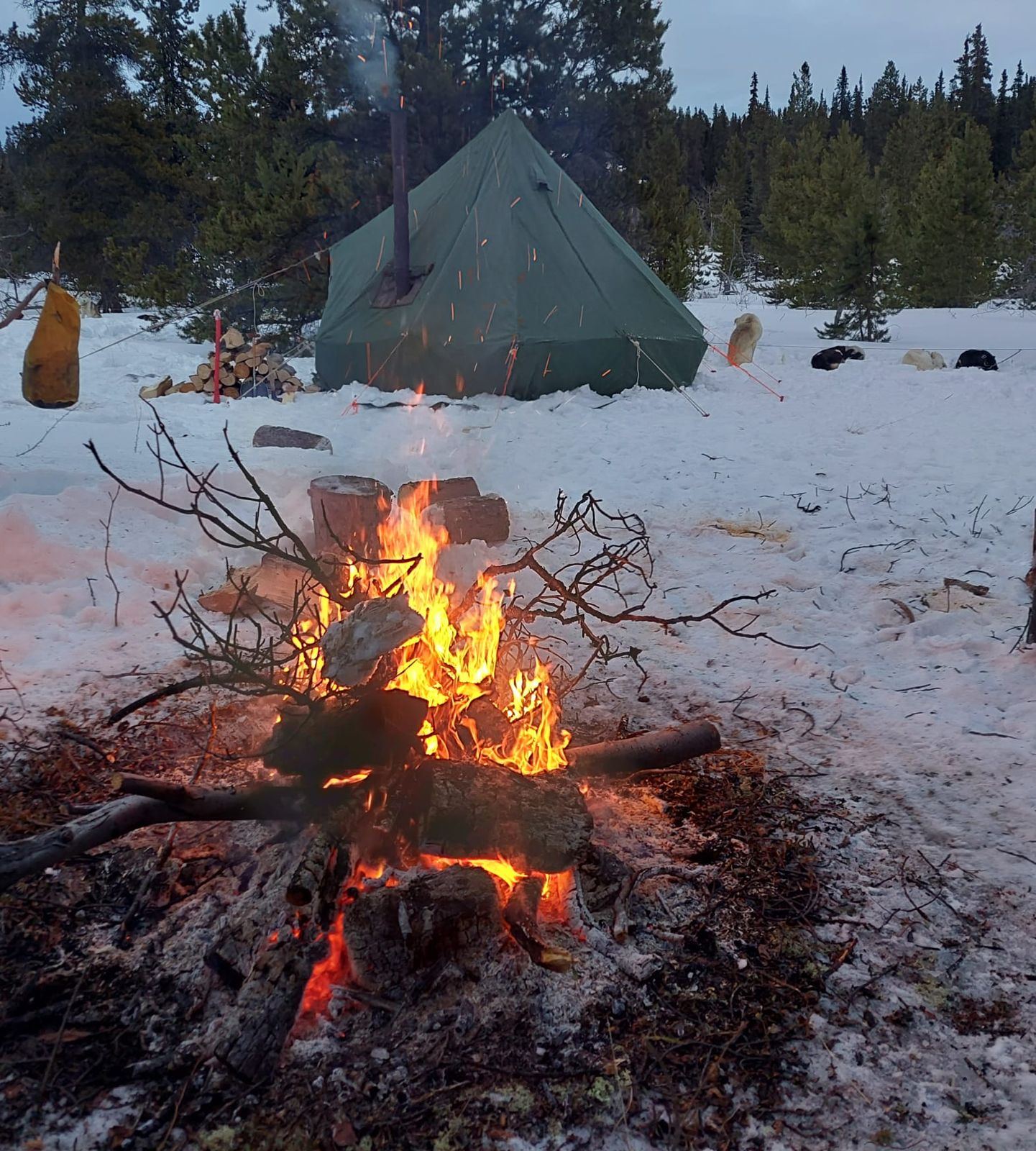 Campfire in front of a stove-heated tent
