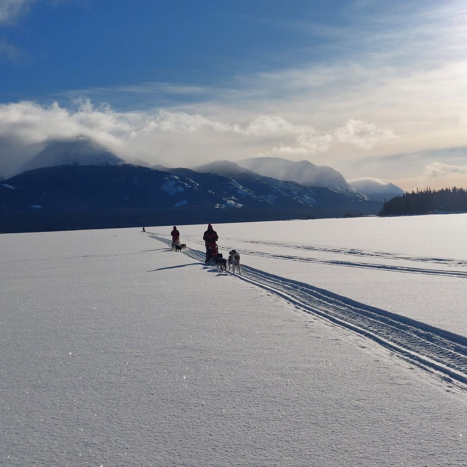 Dog teams crossing a frozen lake at the foot of the mountains