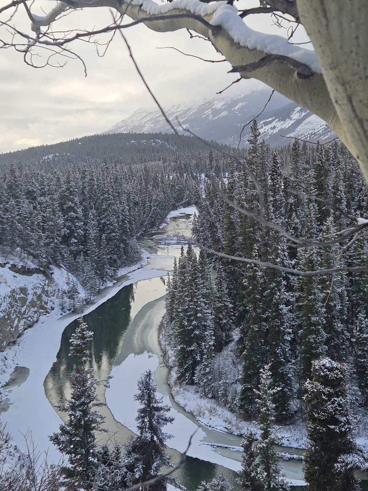 Rivière à moitié gelée serpentant dans une vallée enneigée du Yukon